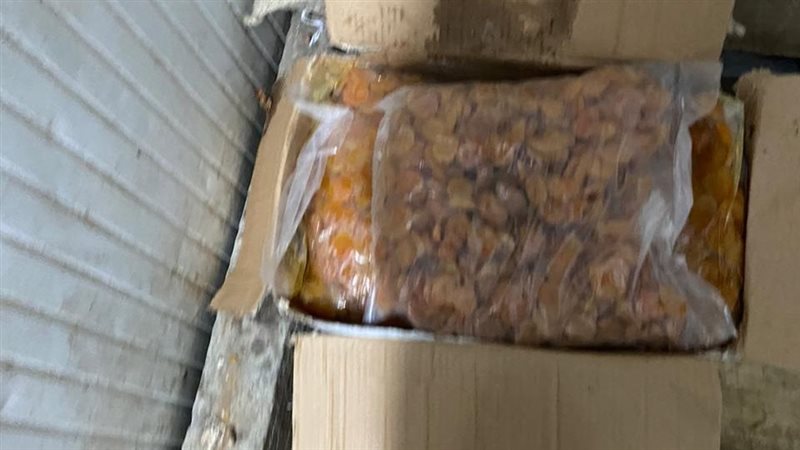 الإسكندرية، فيتو