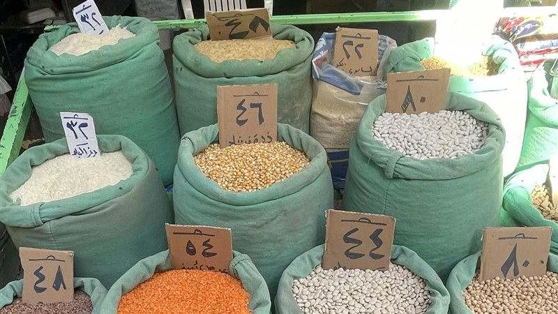 البقوليات اليوم،