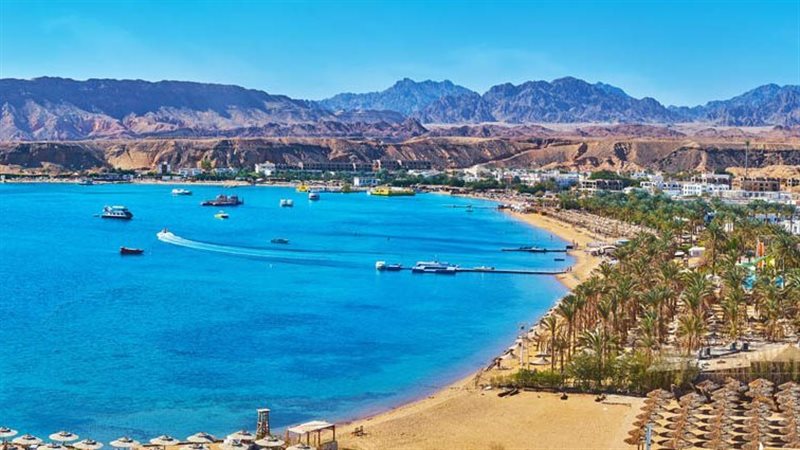 السياحة خلال 2024