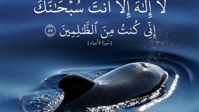 فضل لا إله إلا أنت سبحانك إني كنت من الظالمين في دفع البلاء وفك الكرب 