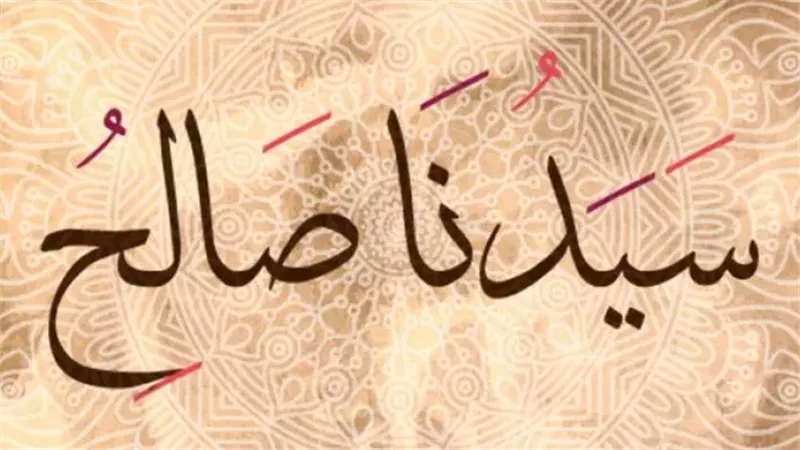 قصة النبي صالح، فيتو