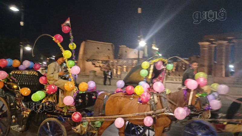 عربات الحنطور، فيتو