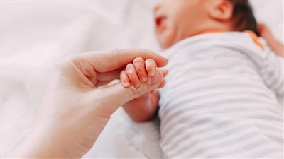 فى أول 12 ساعة من العام الجديد، المنوفية تسجل 247 حالة ميلاد و52 حالة وفاة