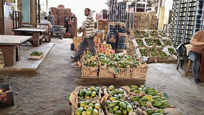 طرح ملك الفواكه الصيفية