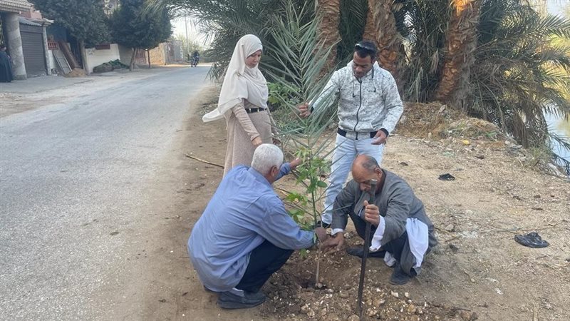 زراعة أشجار بالبداري،
