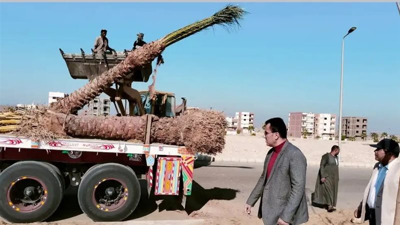 رئيس جهاز طيبة الجديدة