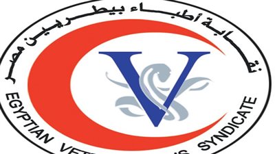 الأطباء البيطريين: اتخاذ الإجراءات القانونية ضد الكيانات الوهمية الدخيلة على المهنة