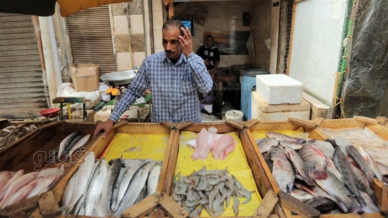 أسعار الأسماك في