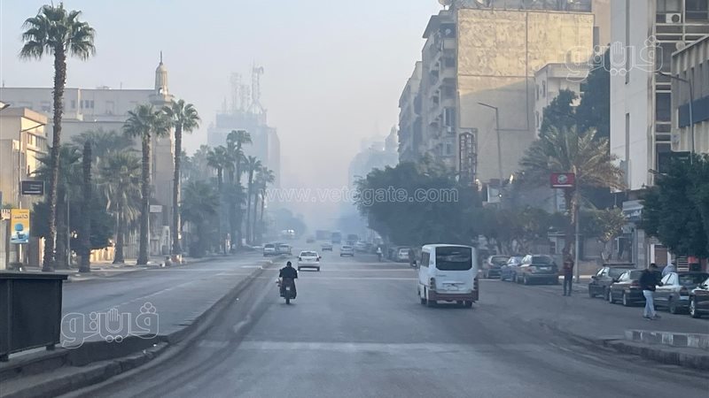 حالة الطقس، فيتو
