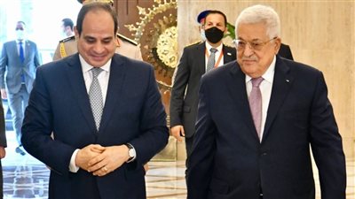 السيسي: معالجة جذور الصراع من خلال إحياء مسار حل الدولتين وإنهاء الاحتلال