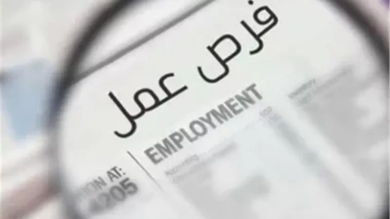 وظائف الحكومة،فيتو