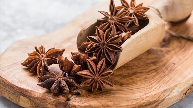 فوائد اليانسون النجمي،