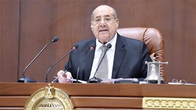 رئيس مجلس الشيوخ: ارتفاع أسعار الدواء جرس إنذار والسوق المصرى يحتاج إلى ضبط 