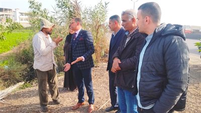 وكيل زراعة البحيرة: عقوبة تبوير الأراضى الزراعية الحبس سنتين وغرامة مالية