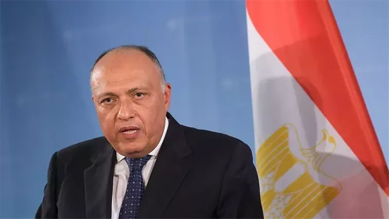 سامح شكرى وزير الخارجية،