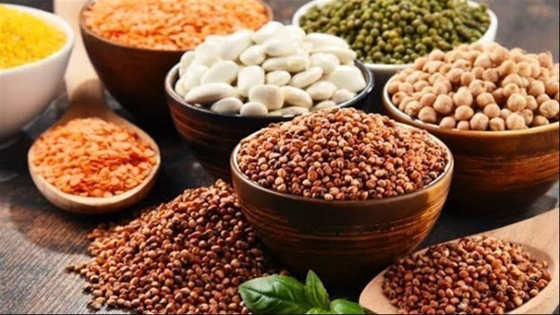 البقوليات في محافظة
