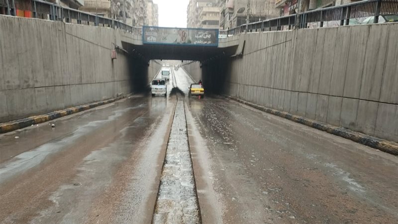 الإسكندرية، فيتو