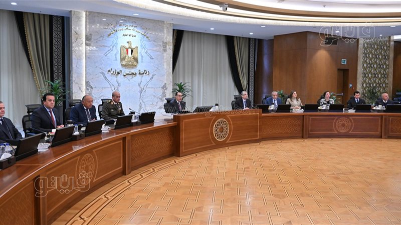 مجلس الوزراء، فيتو