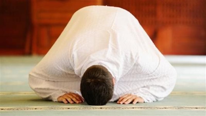  آراء العلماء في