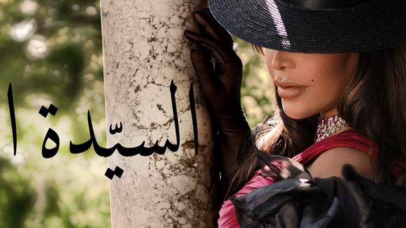 بوستر العمل، فيتو