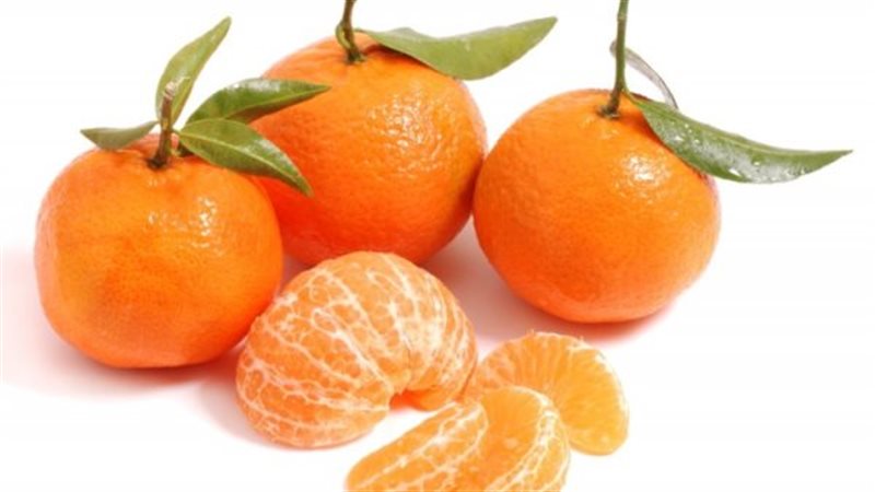فوائد اليوسفي، فيتو