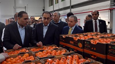 مدبولي: الحكومة تعمل على تحفيز القطاع الخاص لزيادة الإنتاج من الموالح لنمو الصادرات