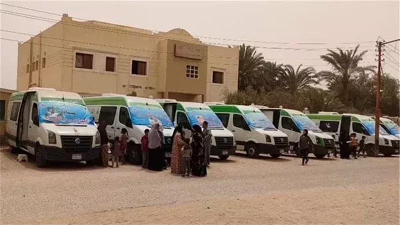 صحة المنيا، فيتو