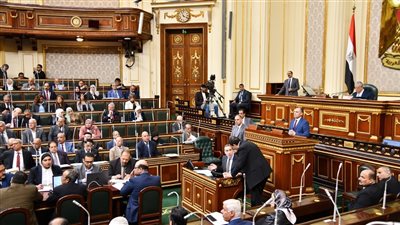تفاصيل تقرير البرلمان بشأن تعديلات قانون قادرون باختلاف 