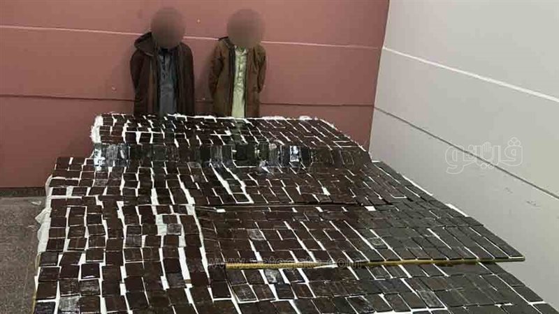 ضبط مخدرات،فيتو