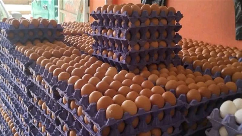 أسعار البيض في الأسواق،