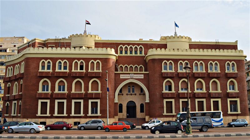 جامعة الإسكندرية،