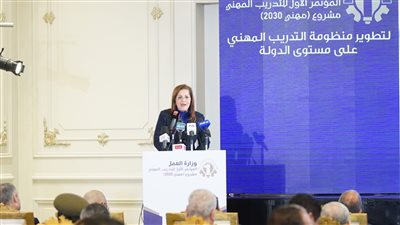 وزيرة التخطيط: من المستهدف رفع نسبة المنضمين للتعليم الفني لتصل إلى 65% عام 2024 