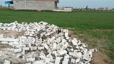 إزالة 7 حالات تعدي على مساحة 1250 مترا مربعا بالبحيرة 
