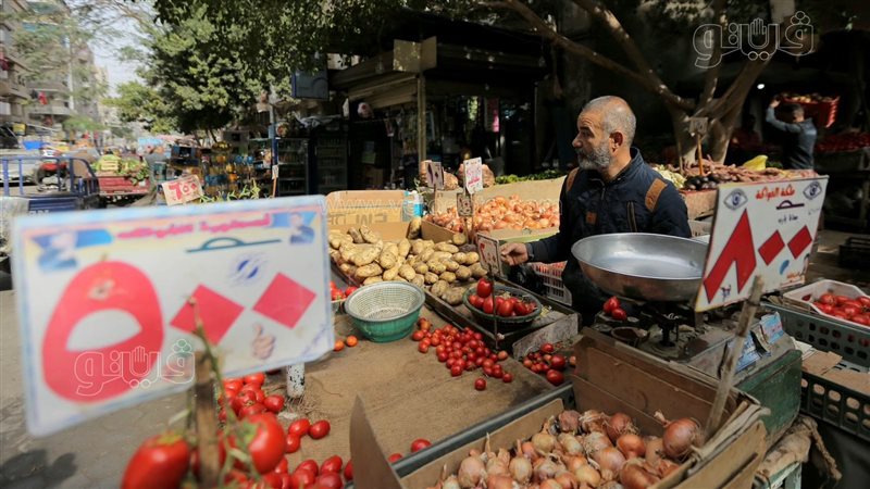 أسعار الخضراوات اليوم،