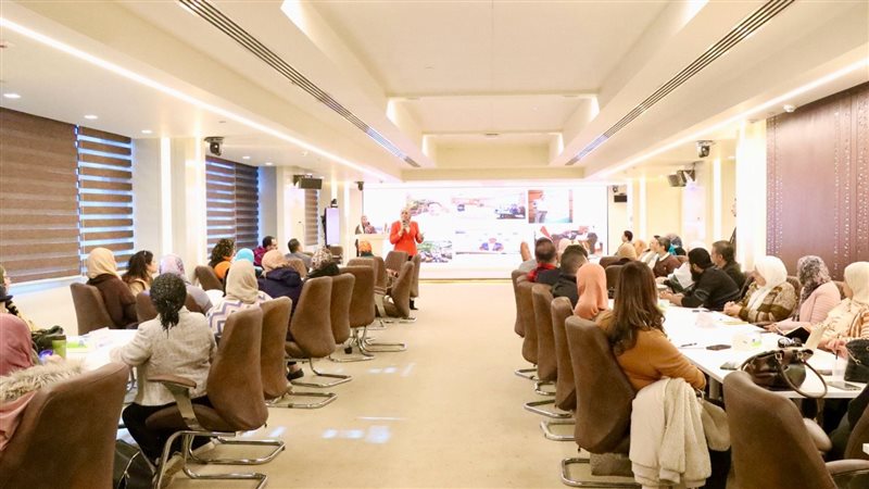 معهد بحوث الاليكترونيات،فيتو
