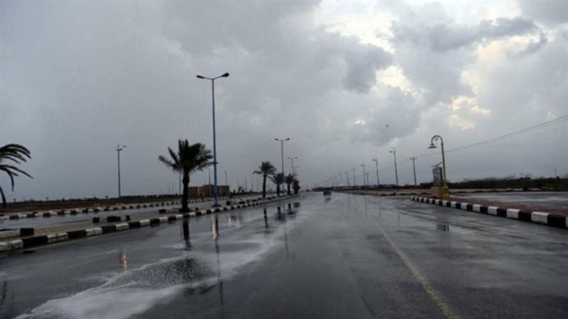 الأمطار،فيتو 