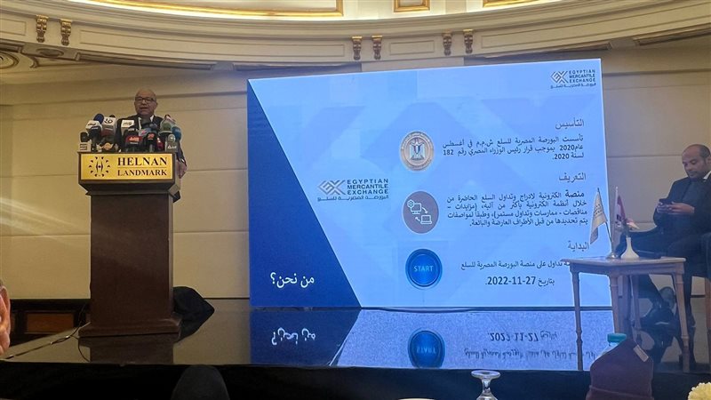 الدكتور إبراهيم عشماوي،