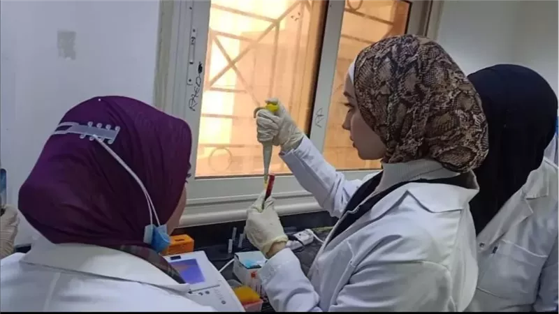 جامعة العريش 