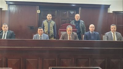 ضربته بحجر، جنايات المنصورة تعاقب ربة منزل بالسجن 15 سنة في الدقهلية 