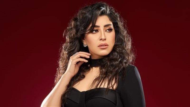 أيتن عامر، فيتو 