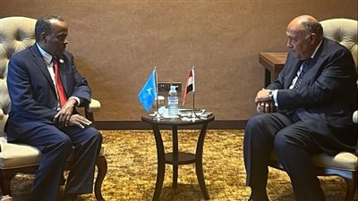 وزير الخارجية يلتقي القائم بأعمال وزير خارجية الصومال