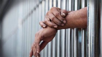 28 فبراير الحكم على متهم بقضية خلية السويس الإرهابية 