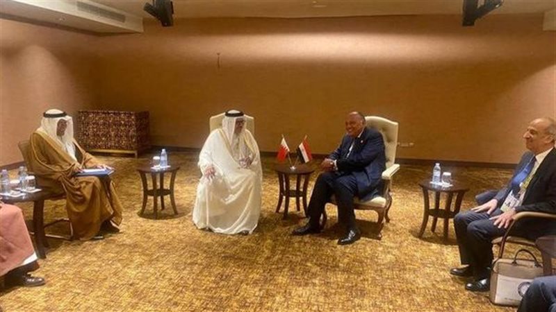 وزير الخارجية يبحث