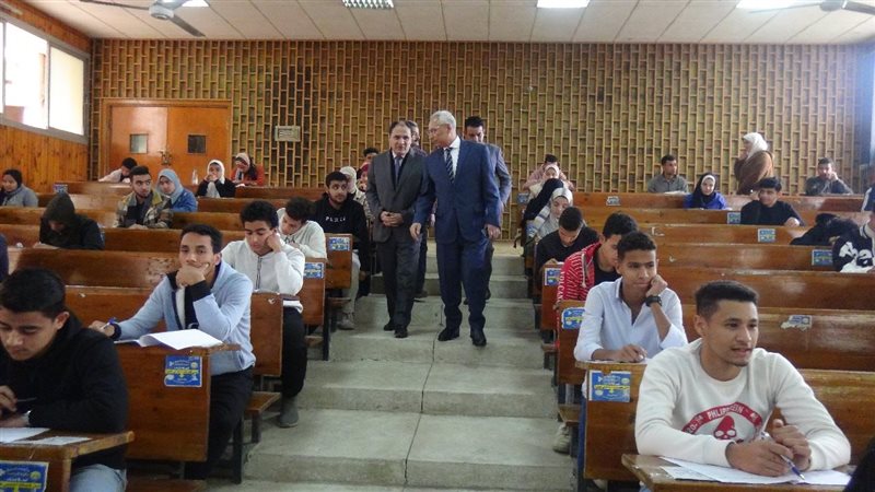 جامعة المنيا، فيتو