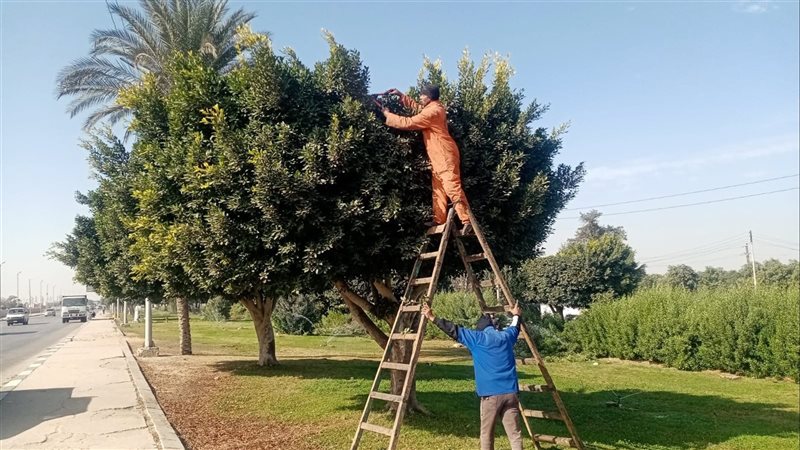 جانب من أعمال تهذيب
