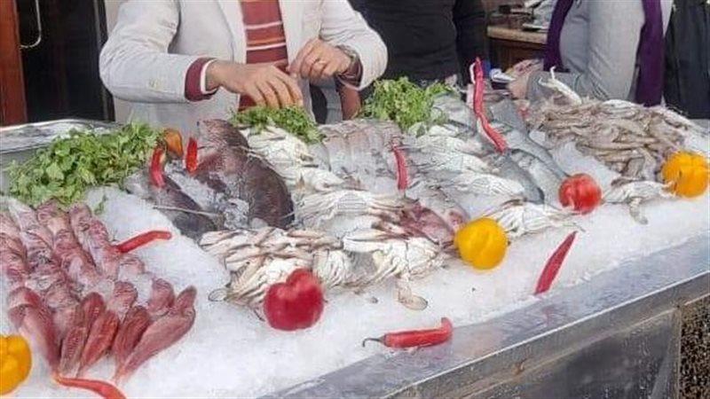 الإسكندرية , فيتو