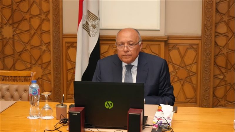سامح شكري، فيتو 