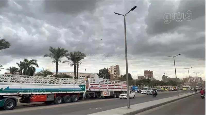 حالة الطقس غدا، فيتو