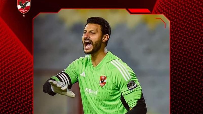 محمد الشناوي، فيتو