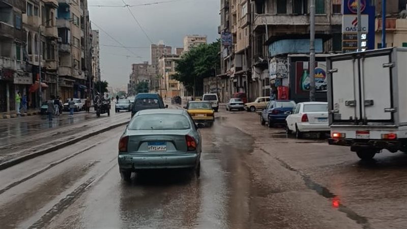 الإسكندرية،فيتو